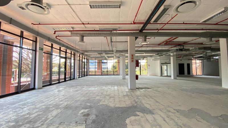 To Let commercial Property for Rent in Observatory Western Cape